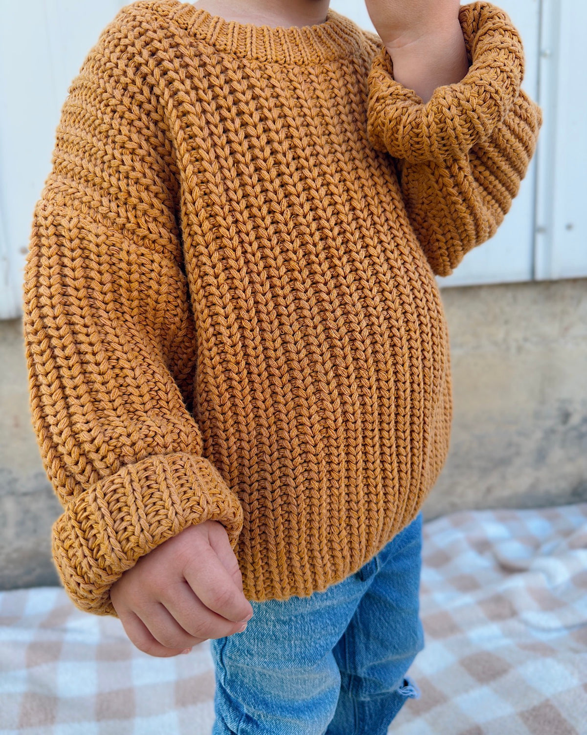 Chunky Knit Braided Sweater