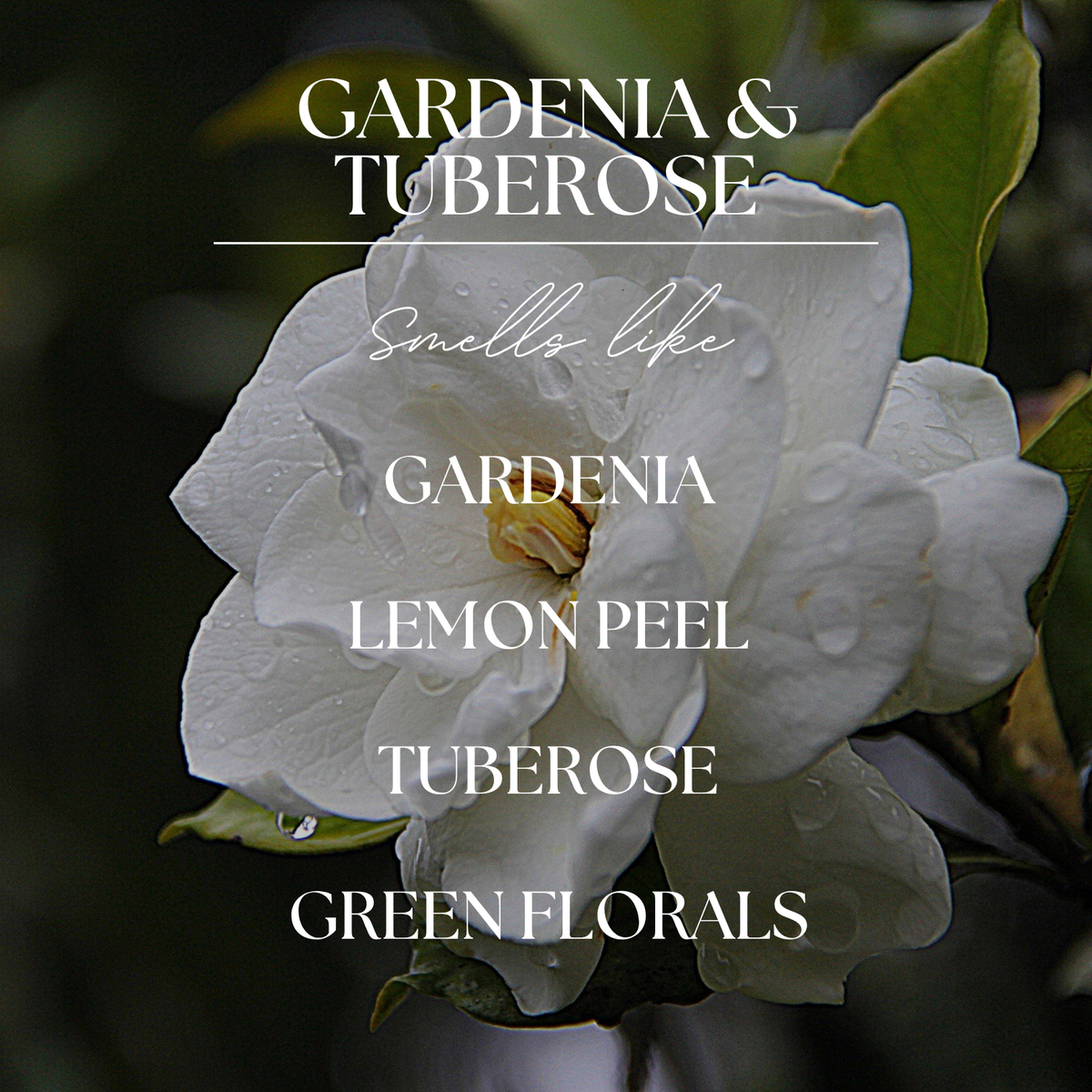 Gardenia & Tuberose | 9oz Soy Candle