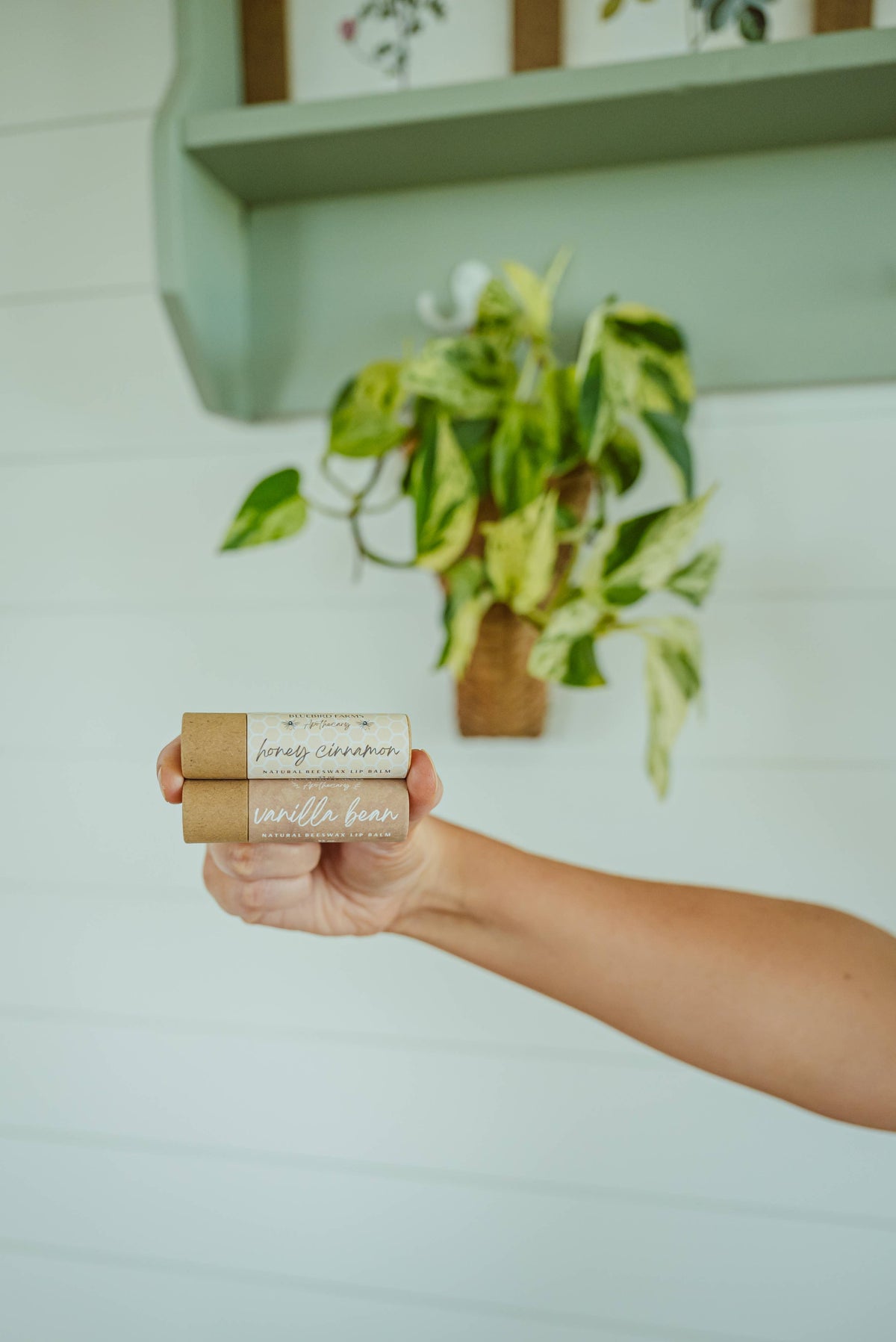 Natural Beeswax Lip Balm